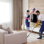 Furnished Living Room Cleaning in undefined