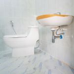 Toilet Installation & Replacement in Delhi