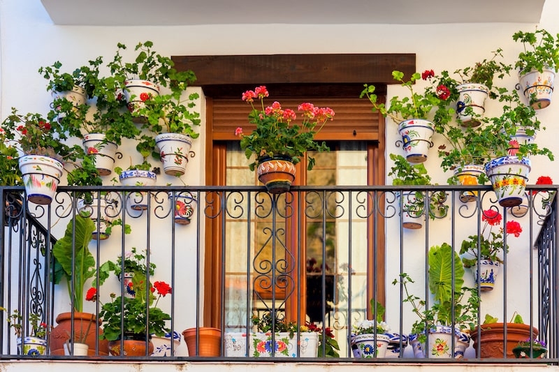 flower pots on the balcony