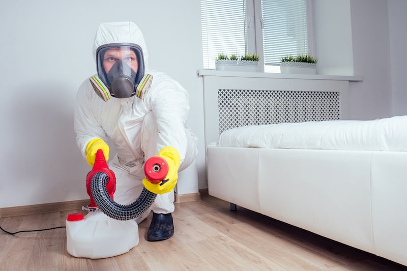 Cockroach Control Service