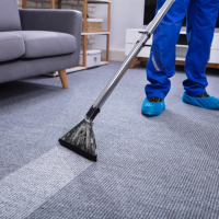Carpet Cleaning Services in Warangal