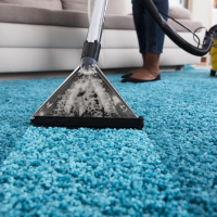 Carpet Cleaning in Warangal