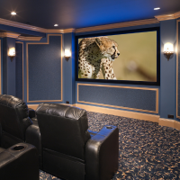 Premium TV & Home Theatre Installation in Dr. BR Ambedkar Konaseema