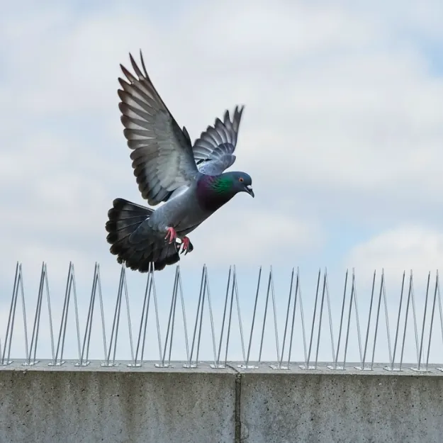 Polycarbonate Bird Spikes in Pune