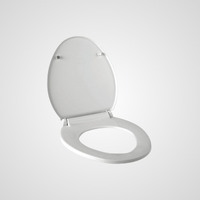 Toilet Seat Cover Installation in Lucknow