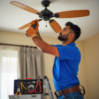 Fan  in Kolkata