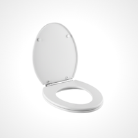 Toilet Seat Cover Installation in Kochi