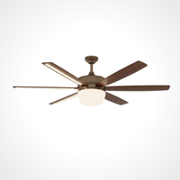 Decorative Fan Installation  in Gurgaon