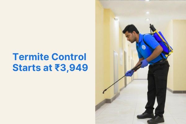 Service Banner image