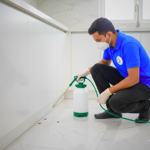 Cockroach Control Treatment in Lucknow