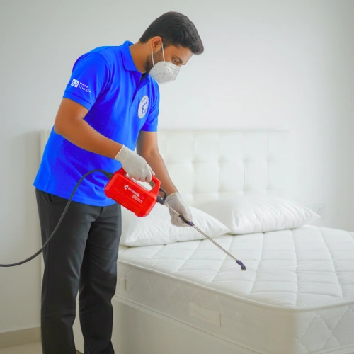 Bed Bug Control in Gurgaon