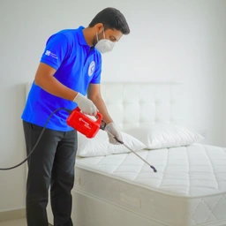 Bed Bug Control in Gurgaon