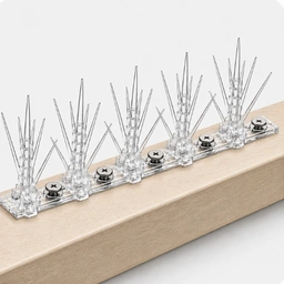 Polycarbonate Bird Spikes in Bangalore