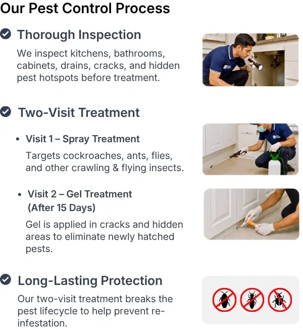 pest control process