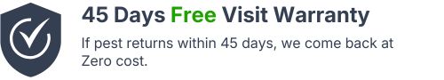 45 days warranty