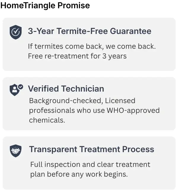 Termite-control-service