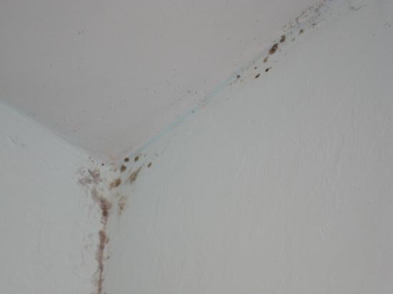 Articles Get Advice And Tips Hometriangle