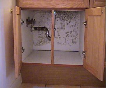 How To Clean Away Mold And Mildew Hometriangle