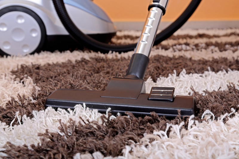 Hire Carpet Cleaning Services in Ahmedabad - Steam, Shampooing -  HomeTriangle