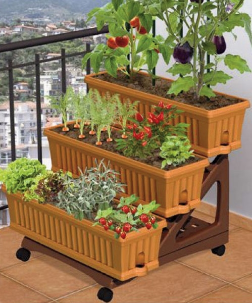 Eat Straight Out Of Your Own Potted Garden!