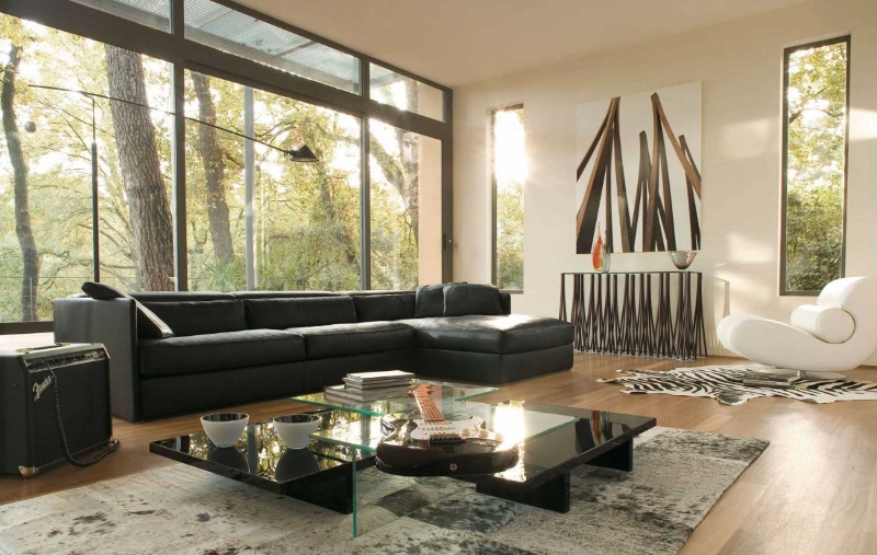 Leather couch and glass coffee table
