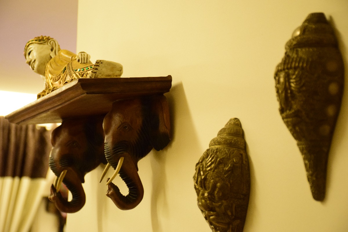 conch shells hung on a wall