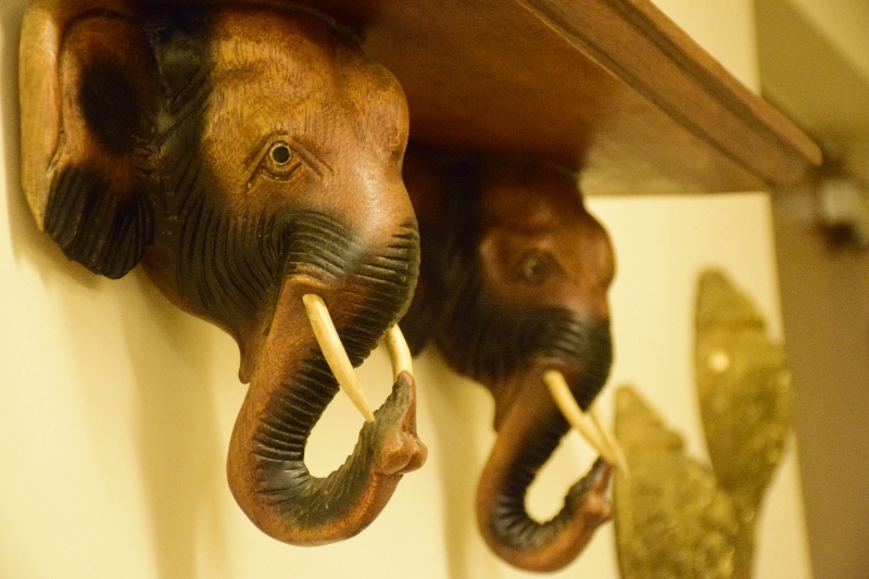 dual toned elephant shelf