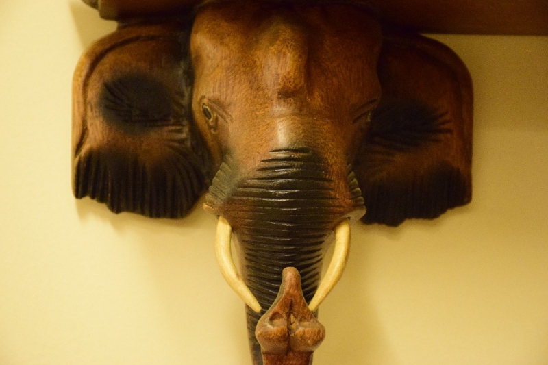 A close-up of one of the elephant head brackets that supports the shelf
