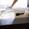 Bed Bug Control