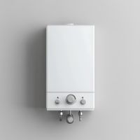 Geyser Repair & Services