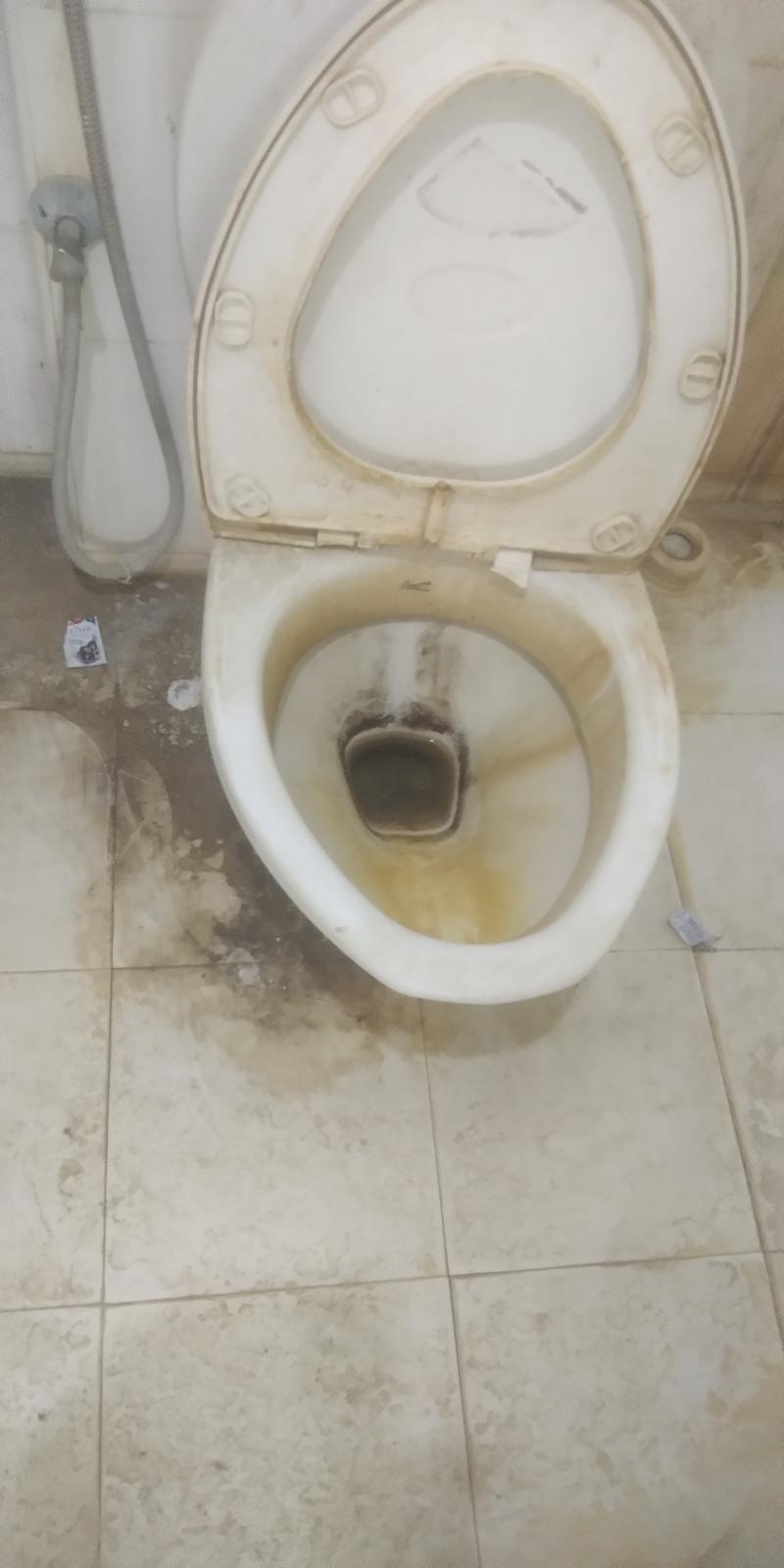 Ever Clean Service-project-3