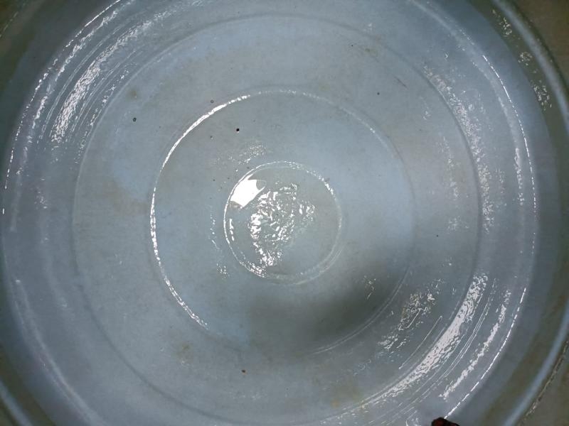Hygienic Tanks-project-6