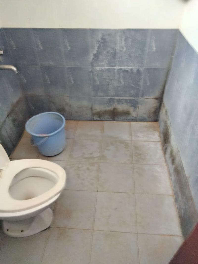 Carpet Indian Services-project-0