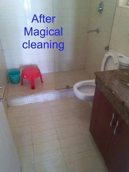 Magical Cleaning Service-project-0
