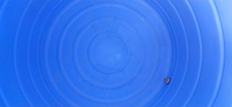 Sri Balaji Water Tank & Sump Cleaning-project-4