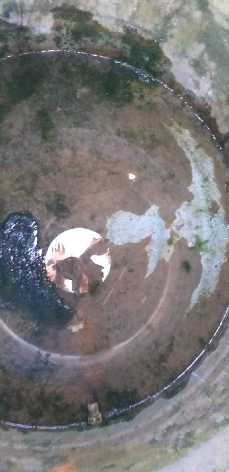 A1 Perfect Tank Cleaning Services-project-5