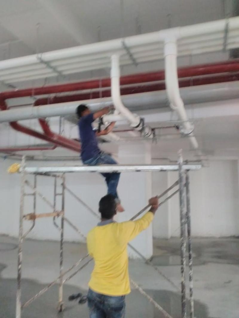 Project 2