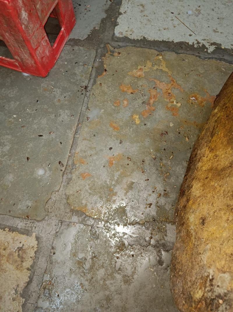 Bhagyasri Pest Control Services-project-9