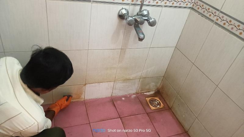Everest Cleaning Service -project-3