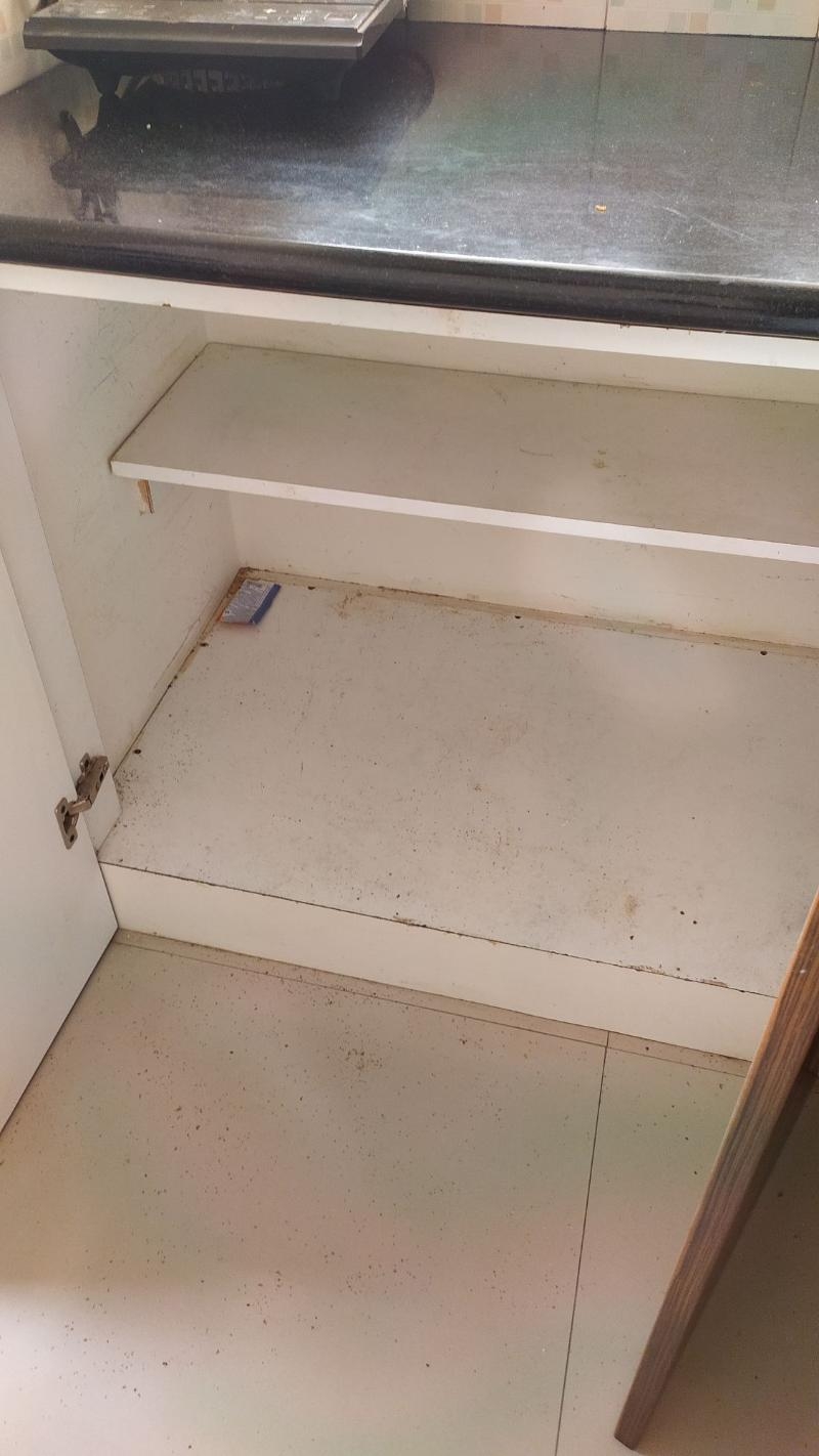 SK Deep Cleaning Services-project-4