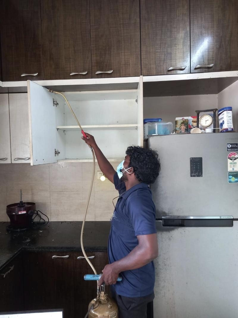 ARK Pest Control-project-1