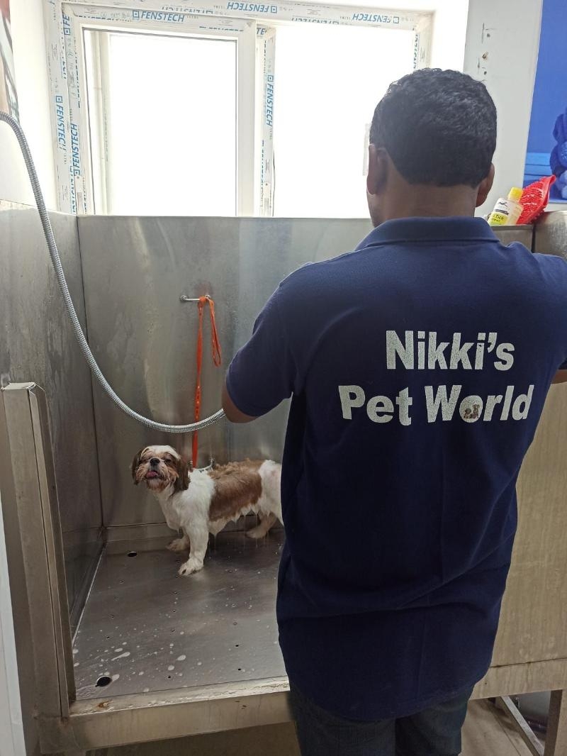 Nikkis Pet World-project-0