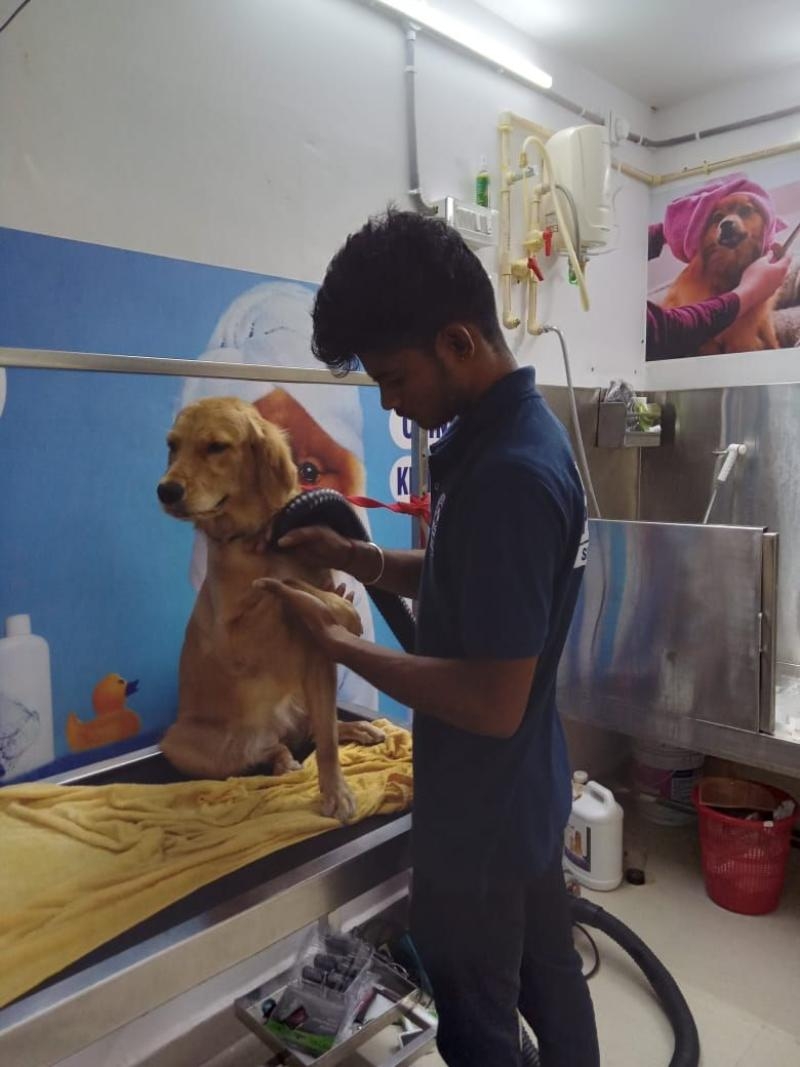 Nikkis Pet World-project-1