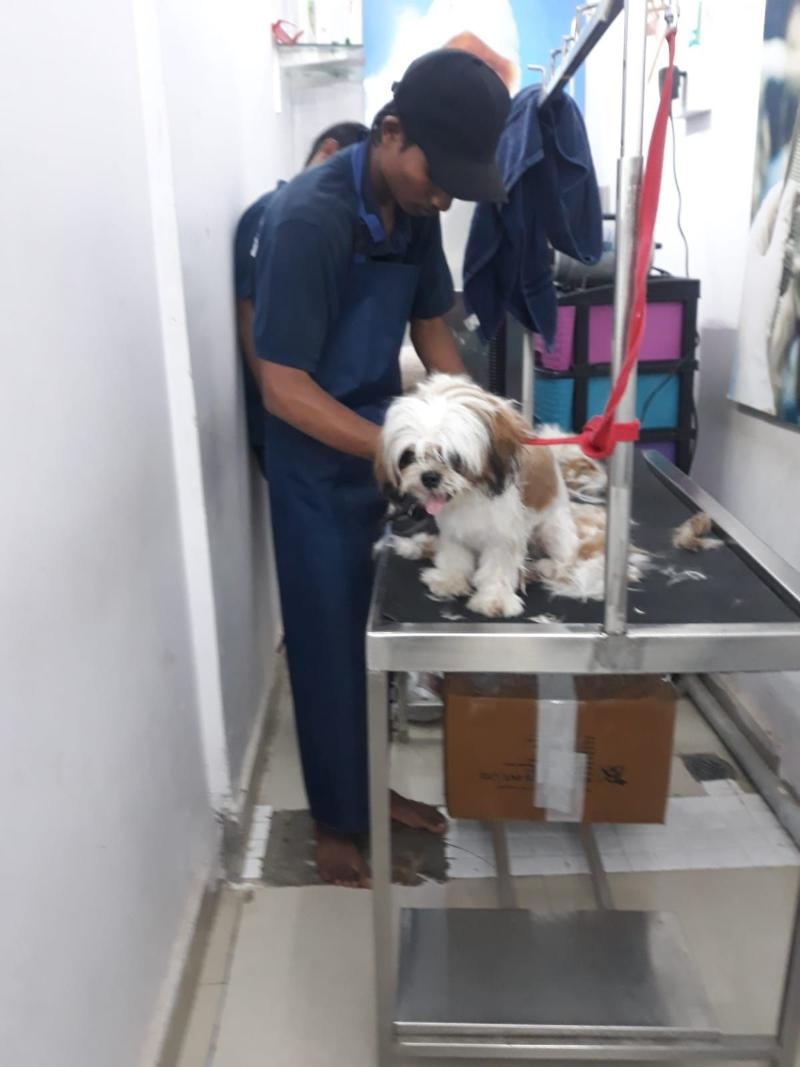 Nikkis Pet World-project-2