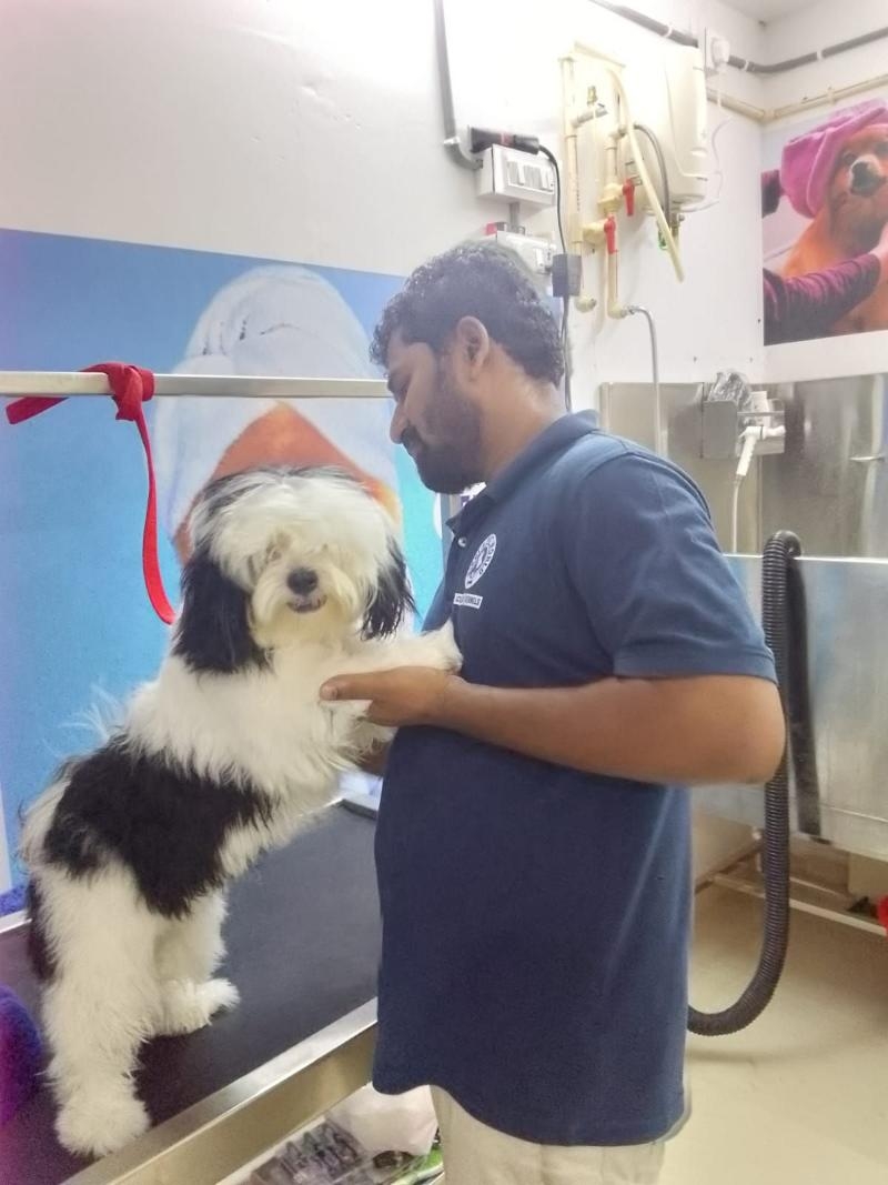 Nikkis Pet World-project-3