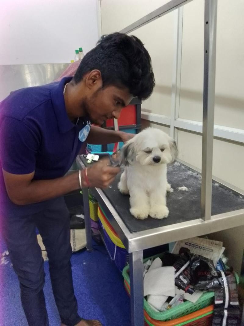 Nikkis Pet World-project-5