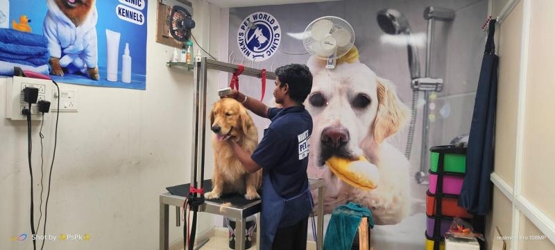 Nikkis Pet World-project-6