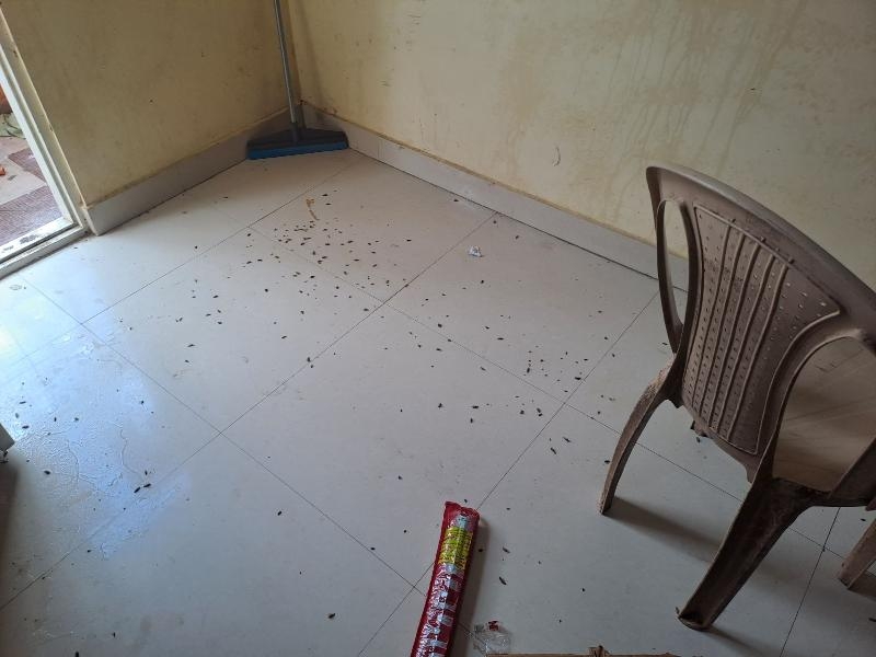 Bharath Pest Control Services-project-2