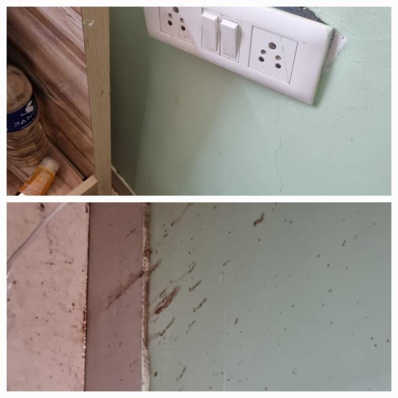 OneSource Services -project-2