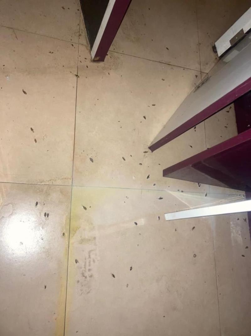 Rohit Pest Control Services-project-0